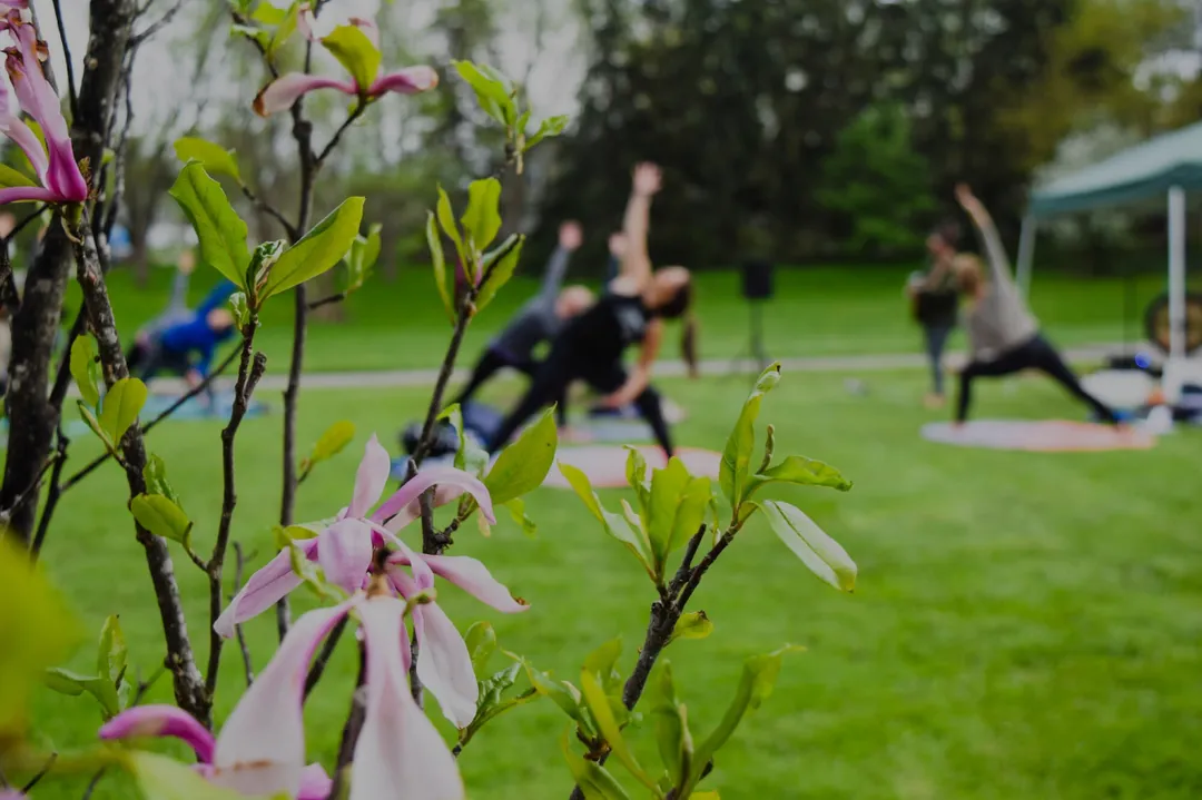 A free outdoor class on the Chardon square in spring, seen through magnolia blossoms