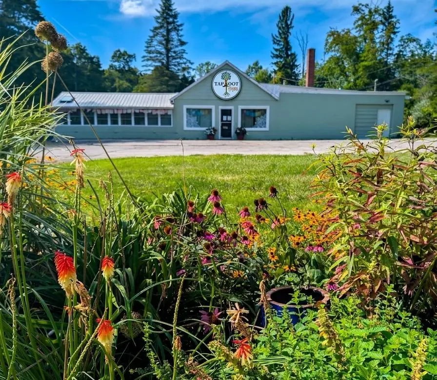 The sage-green Taproot Yoga studio with its round sign, seen across the lawn from a summer flower garden